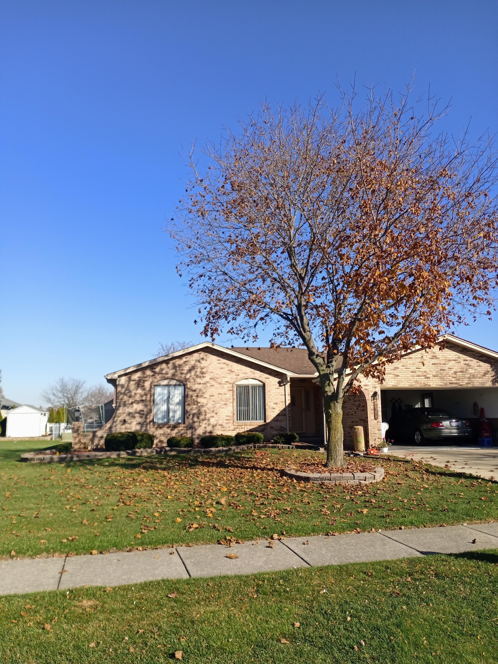 Right Way lawn and tree service — photo