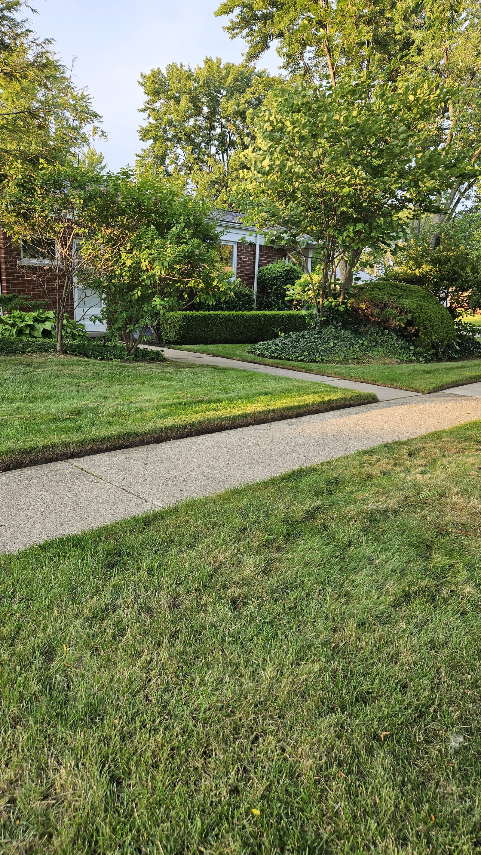 Your Community Lawn Care, LLC in Eastpointe